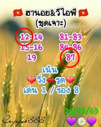 24 3 63 ชุด17 2