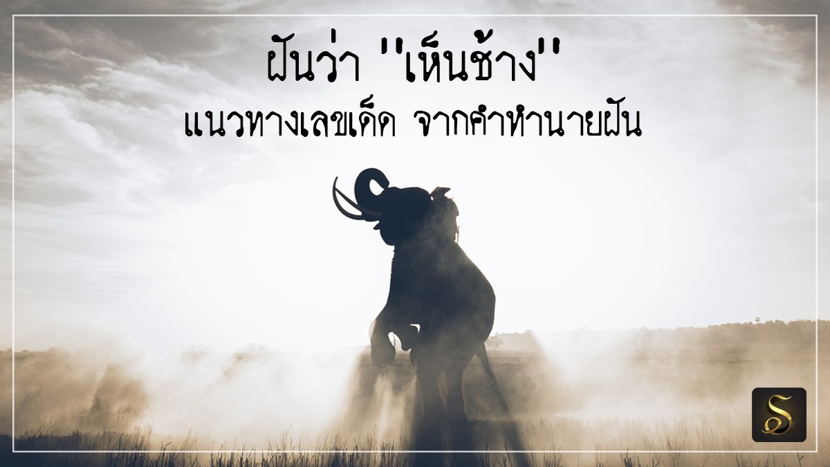 ฝันเห็นช้าง