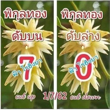 เลขดับพิกุลทอง