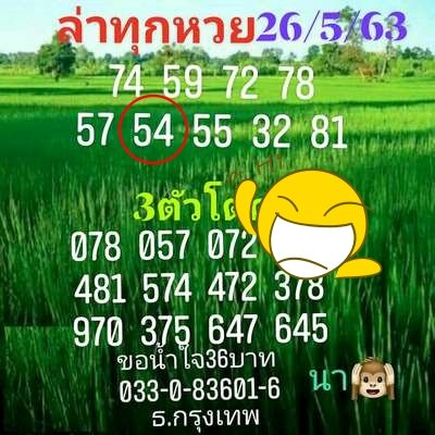 ผลฮานอย