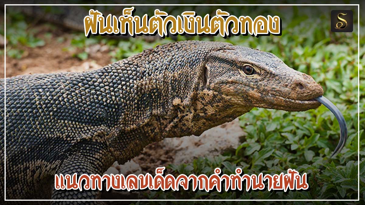 ฝันเห็นตัวเงินตัวทอง