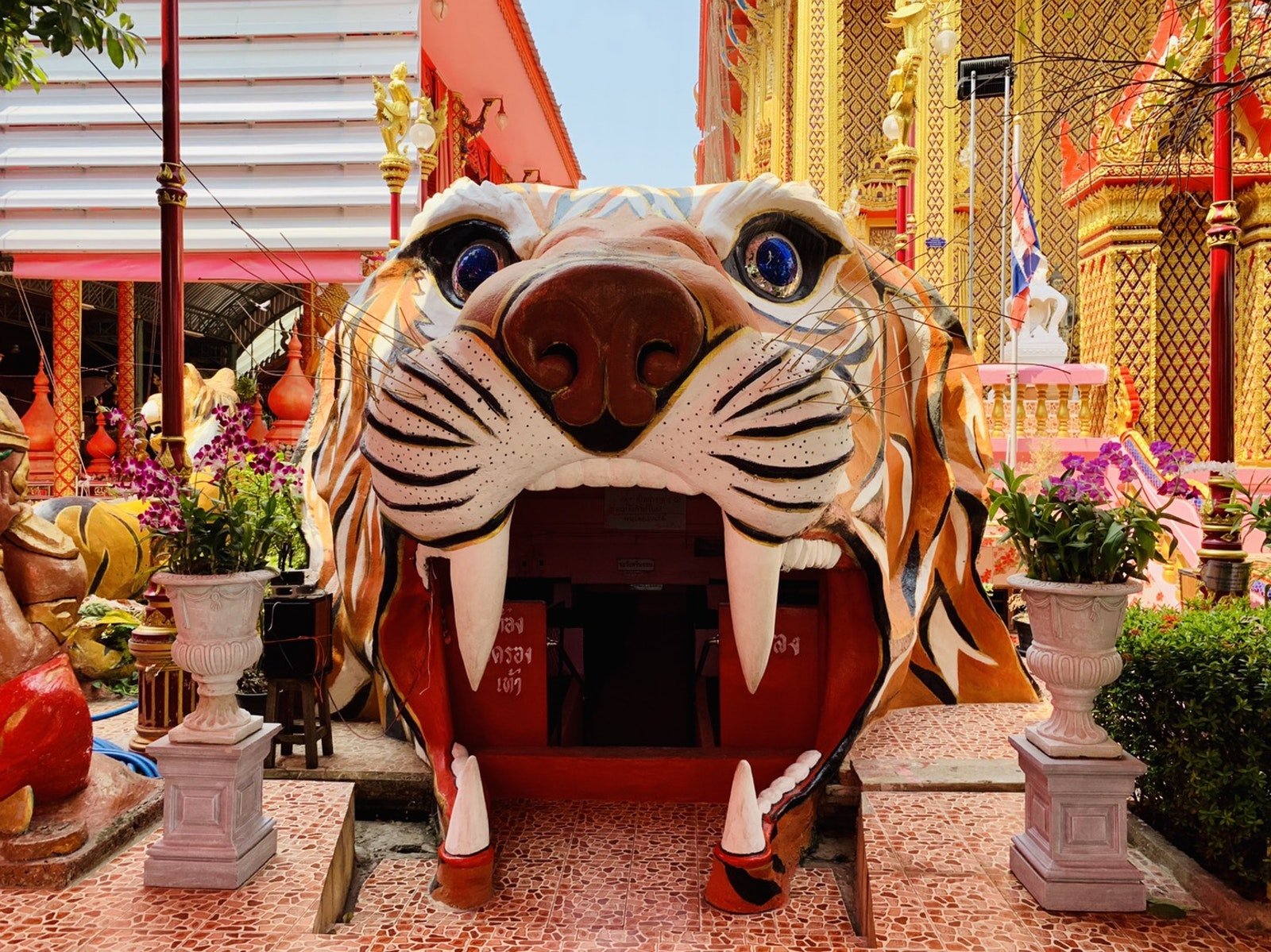 tiger head door at wat takian