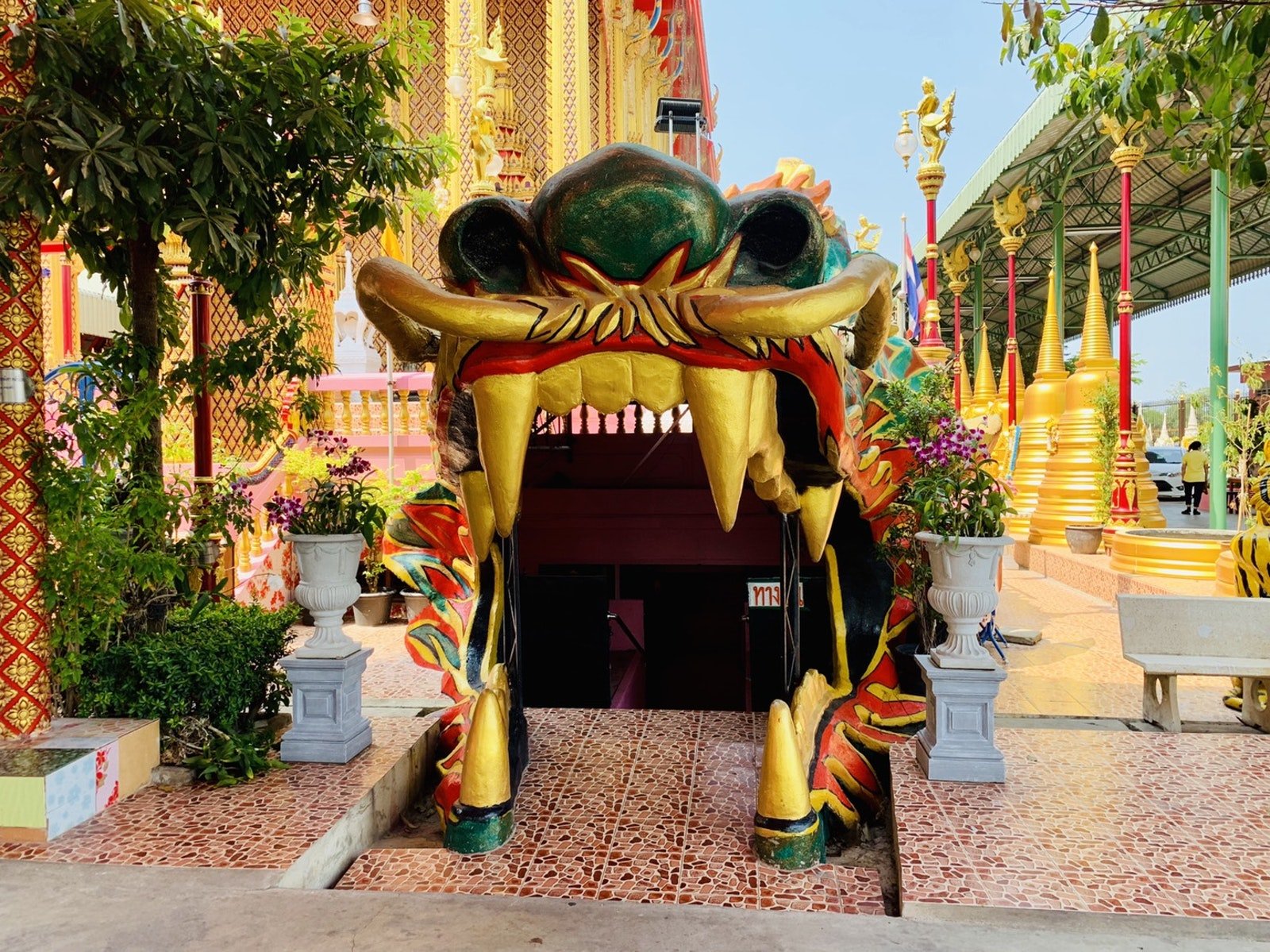 green tiger head door at wat takian