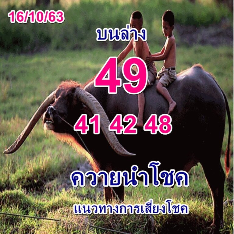 ruay365