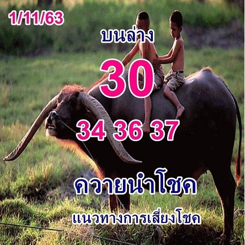 ruay365