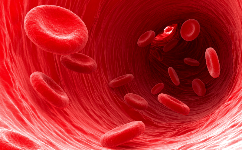 Red Blood Cells