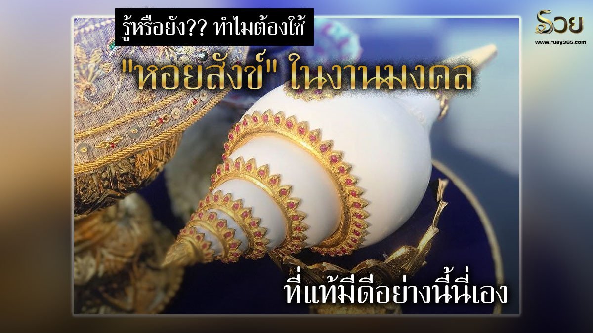 หอยสังข์