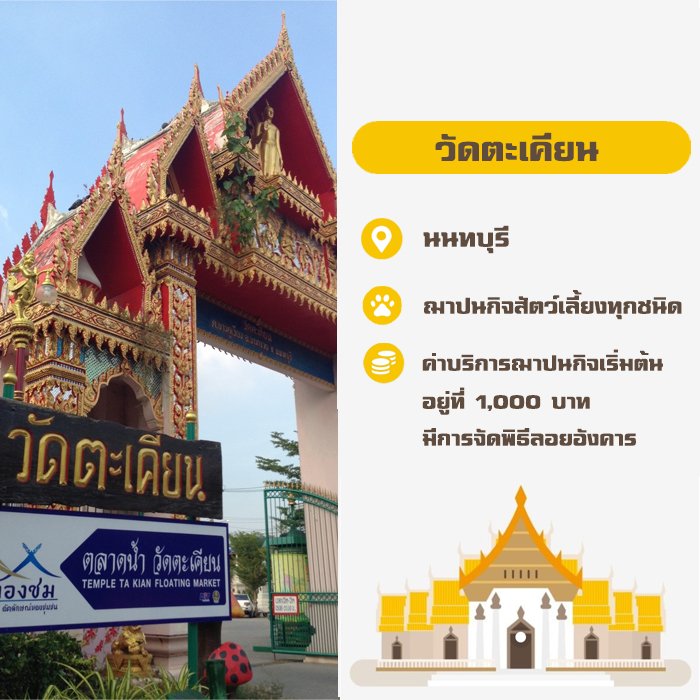 วัดรับจัดงานศพสัตว์เลี้ยง