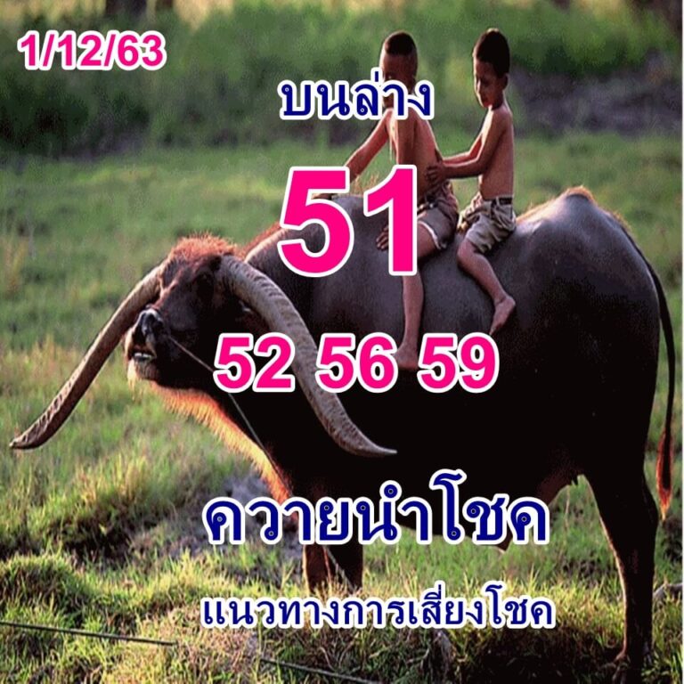 ruay365