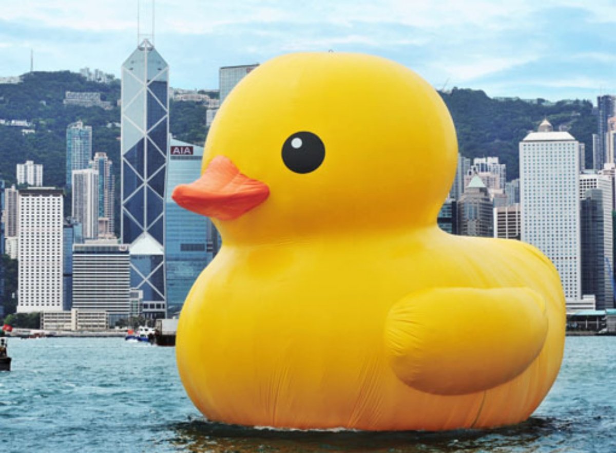 Giant Robber Duck