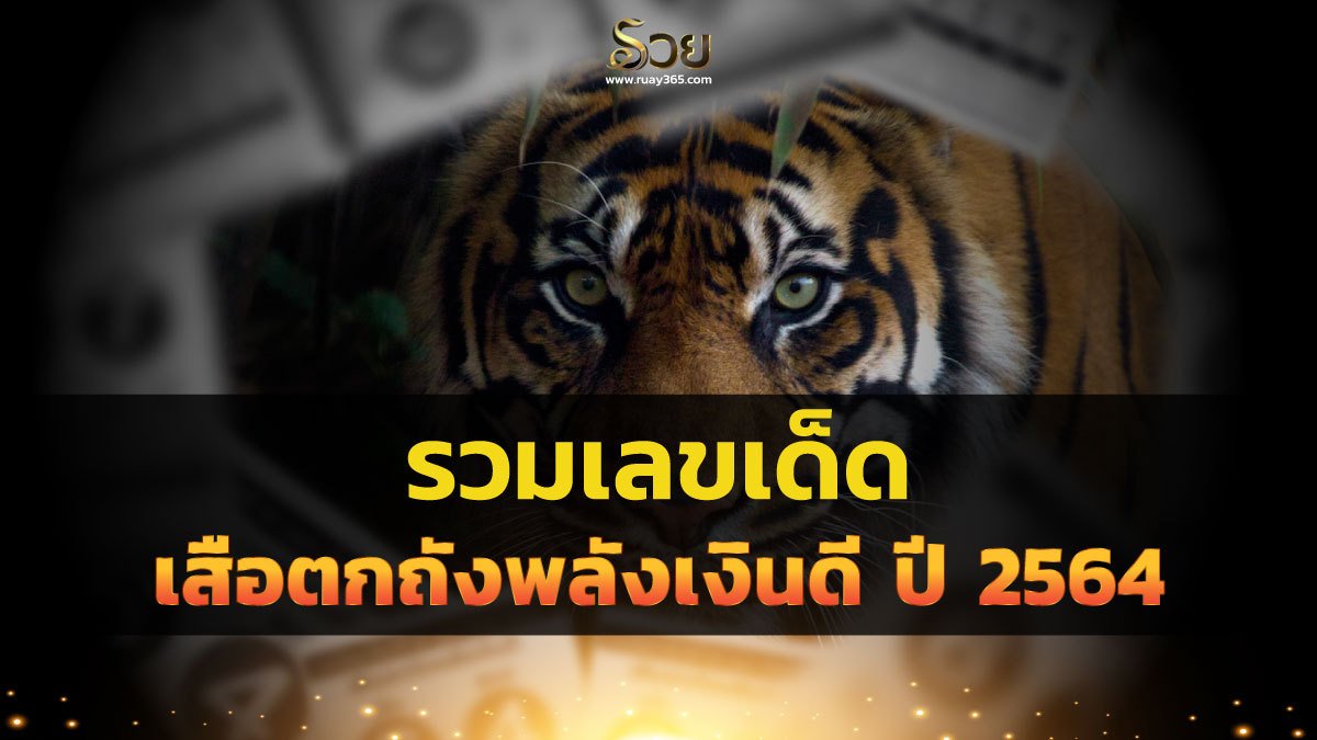 เสือตกถังพลังเงินดี
