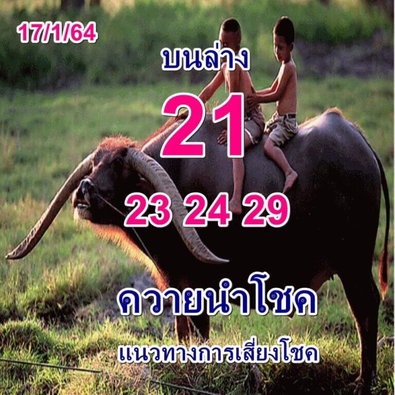 หวยควายนำโชค17/01/64