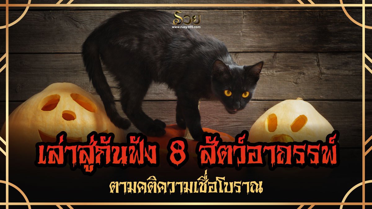 สัตว์อาถรรพ์