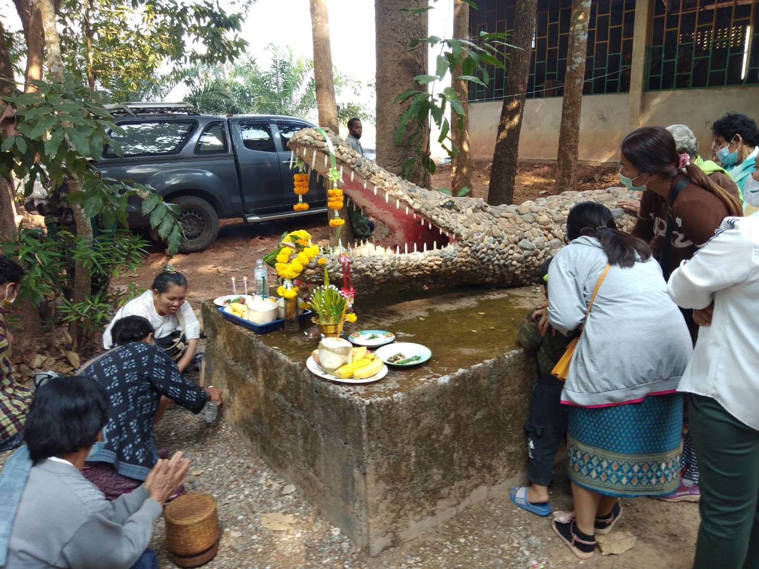 ชาวบ้านพากันกราบไหว้จระเข้ที่วัดกุดแห่