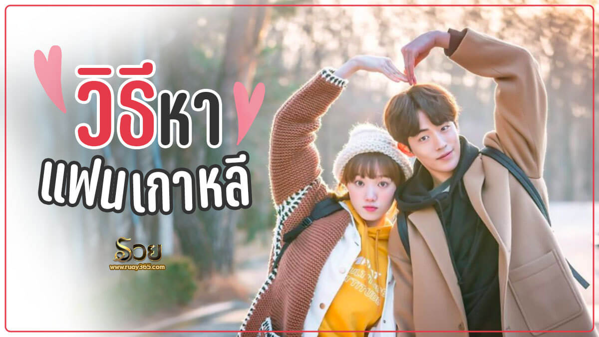 วิธีหาแฟนเกาหลี