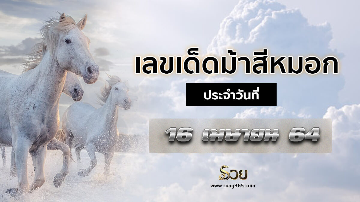 ruay365