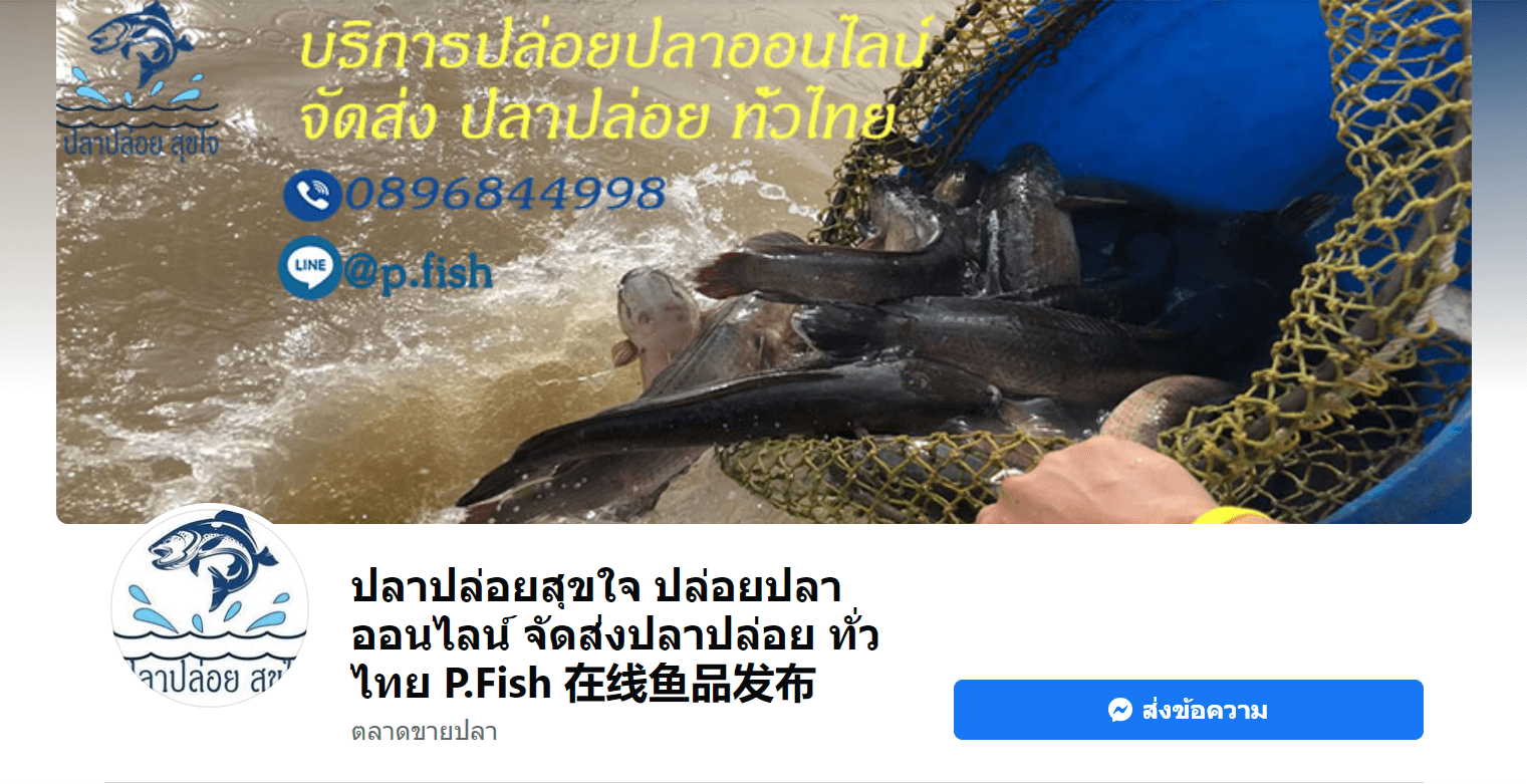 เพจปลาปล่อยสุขใจ