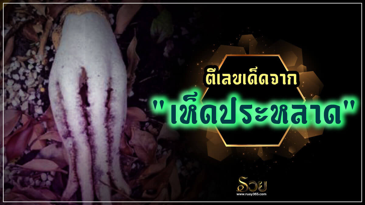 เห็ดประหลาดให้โชค