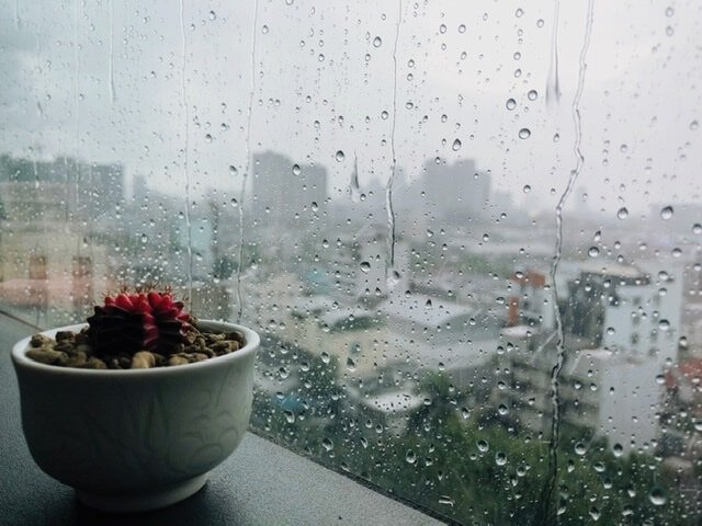 ฝนตกริมหน้าต่าง 