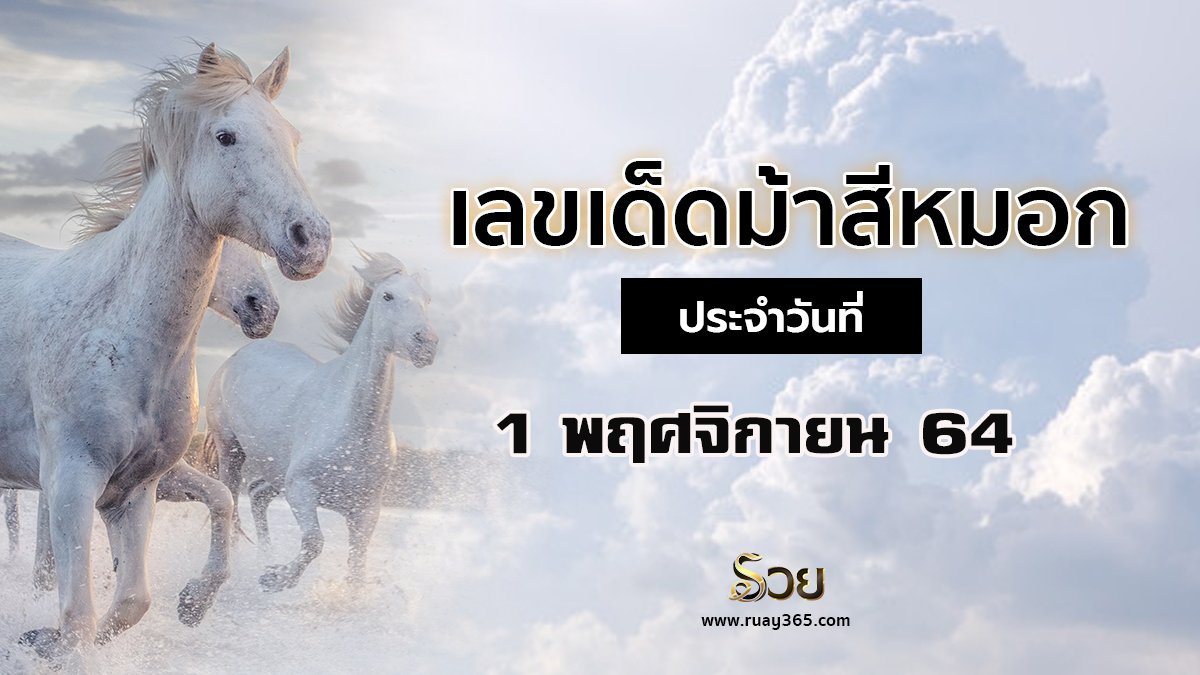 เลขเด็ดม้าสีหมอก 01/11/64
