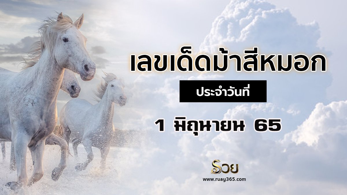 เลขเด็ดม้าสีหมอก 01/06/65