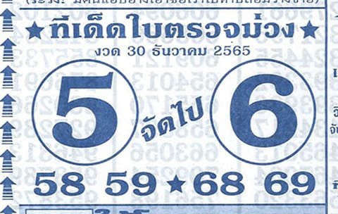 หวยมีเด็ดใบตรวจม่วง 30/12/65